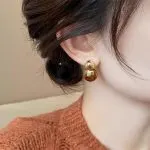 Retro Maillard style unique tiger eye stone earrings for women light luxury versatile high-end earrings - Image 6
