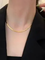 Mmalist Luxury Titanium Steel Snake Chain Necklace – Elegant Thin Plate Vintage Clavicle Jewelry for Women - Image 5