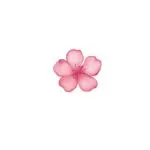 Chinese Style Sakura Floral Temporary Tattoo Stickers - Image 8